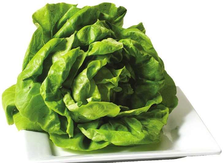 Living Butter Lettuce Country Grocer