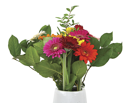 Germini Bouquet - Country Grocer